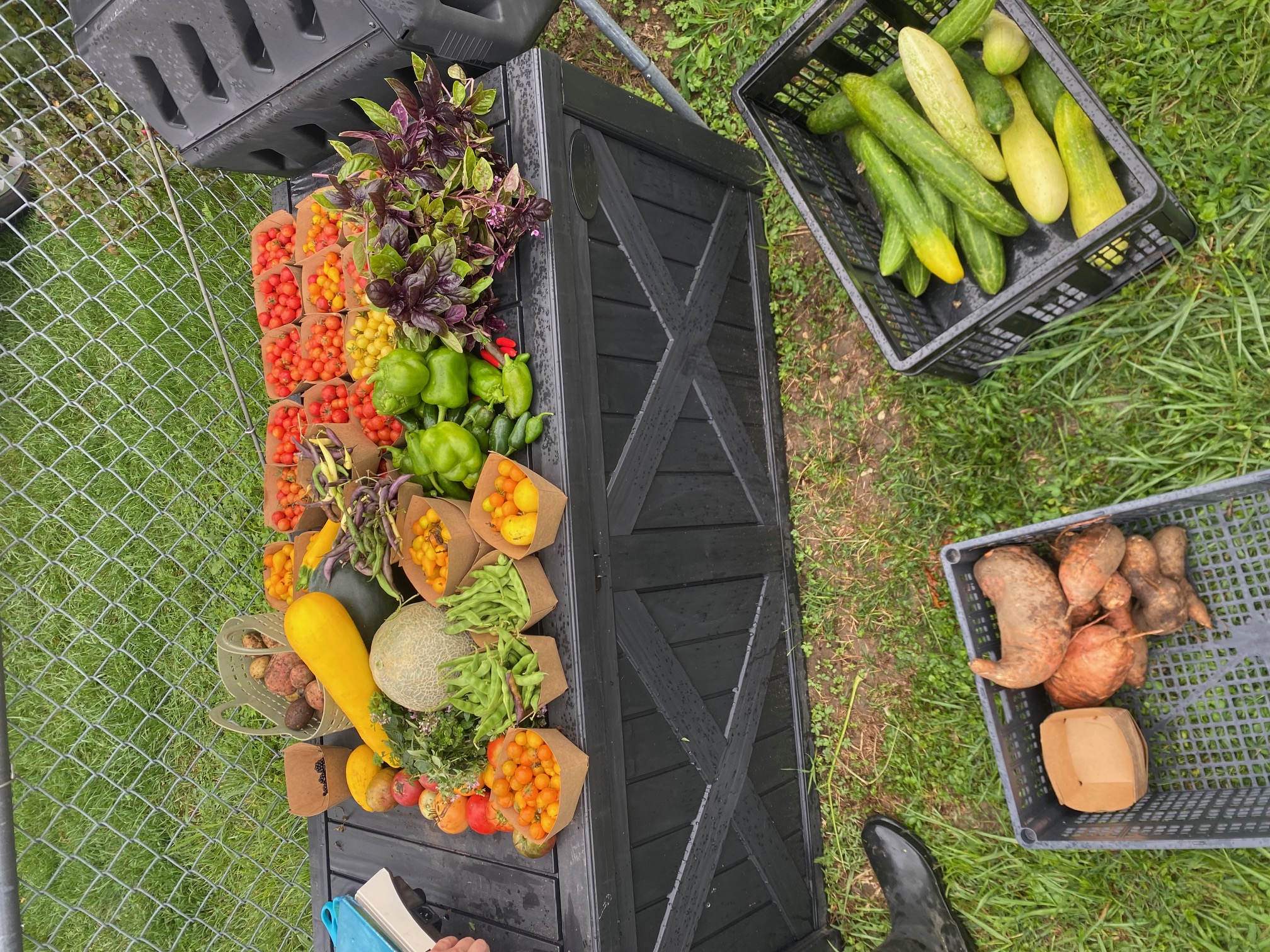 food produce stocked within a community garden.