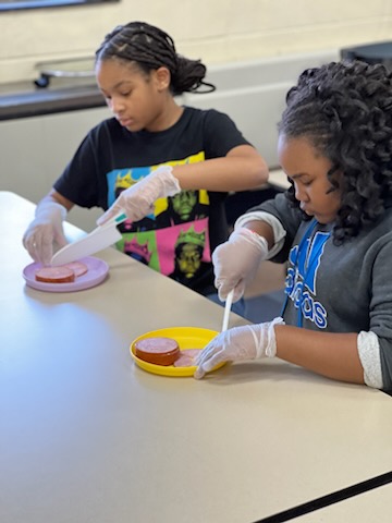 two children cutting food in a culinary program in a cafeteria.