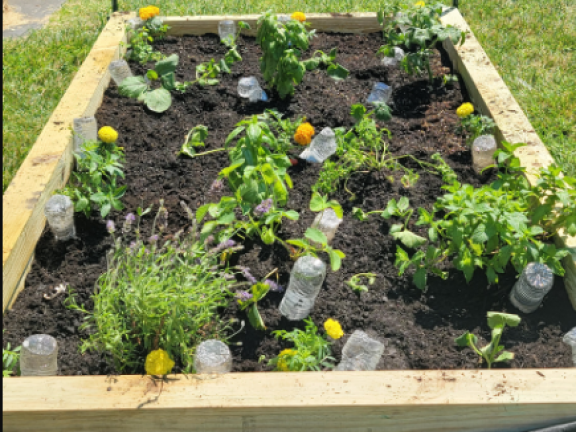a plant bed sits in an urban garden.