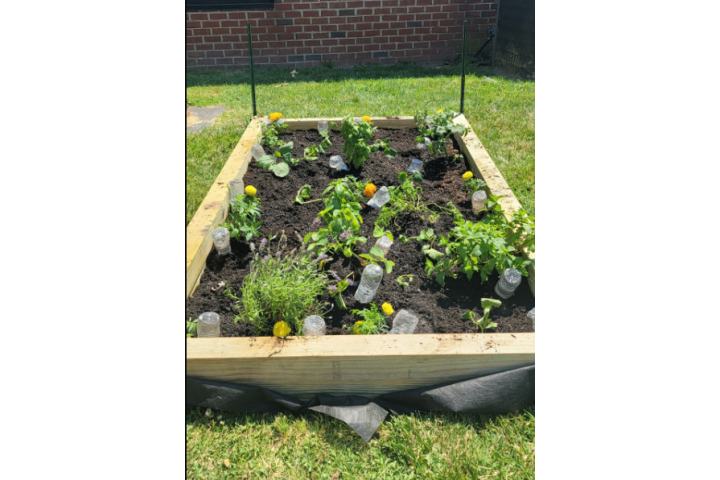 a plant bed sits in an urban garden.