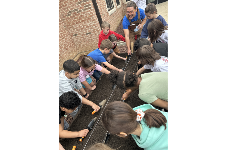 students playing in garden activities