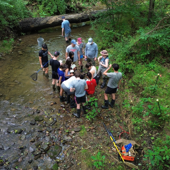 students cleaning a creek bed